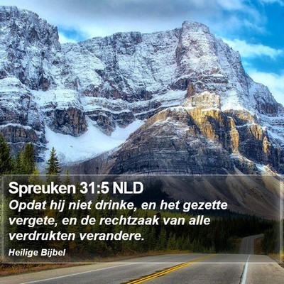 Spreuken 31:5 NLD Bible Verse Image