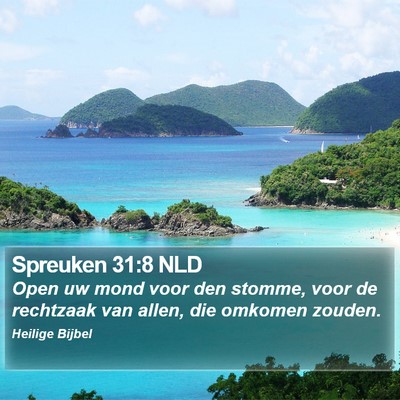 Spreuken 31:8 NLD Bible Verse Image