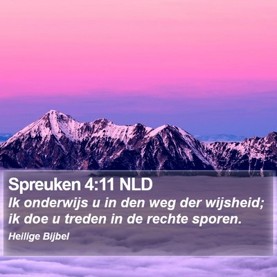 Spreuken 4:11 NLD Bible Verse Image