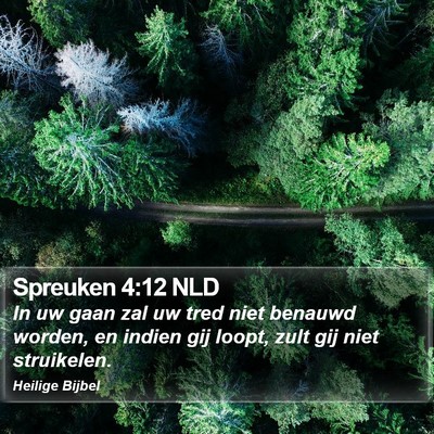 Spreuken 4:12 NLD Bible Verse Image