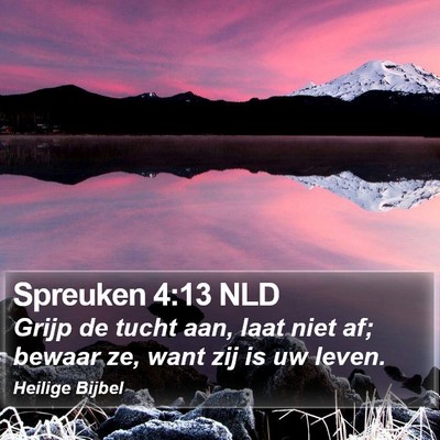 Spreuken 4:13 NLD Bible Verse Image
