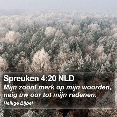 Spreuken 4:20 NLD Bible Verse Image