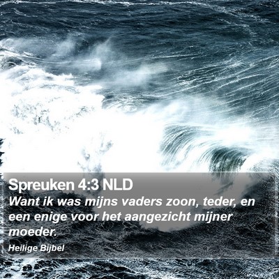 Spreuken 4:3 NLD Bible Verse Image