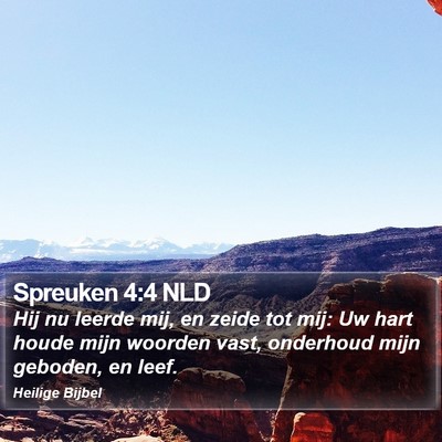 Spreuken 4:4 NLD Bible Verse Image