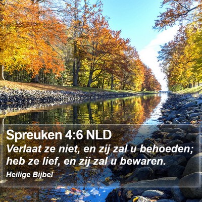 Spreuken 4:6 NLD Bible Verse Image