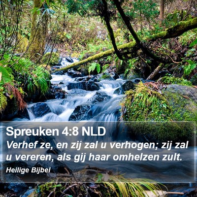 Spreuken 4:8 NLD Bible Verse Image