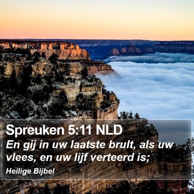 Spreuken 5:11 NLD Bible Verse Image