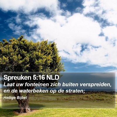 Spreuken 5:16 NLD Bible Verse Image