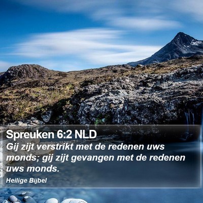 Spreuken 6:2 NLD Bible Verse Image