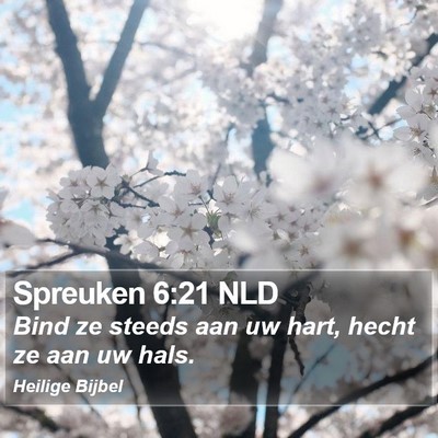 Spreuken 6:21 NLD Bible Verse Image