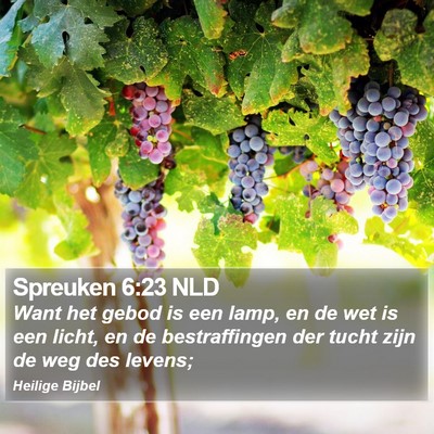 Spreuken 6:23 NLD Bible Verse Image