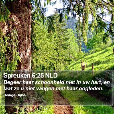 Spreuken 6:25 NLD Bible Verse Image