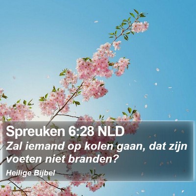Spreuken 6:28 NLD Bible Verse Image