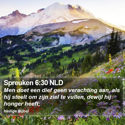 Spreuken 6:30 NLD Bible Verse Image