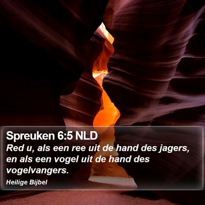 Spreuken 6:5 NLD Bible Verse Image