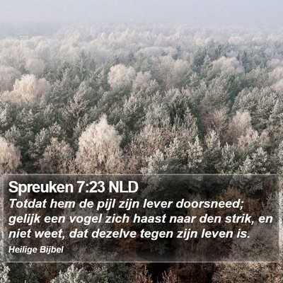 Spreuken 7:23 NLD Bible Verse Image