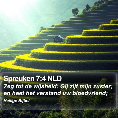 Spreuken 7:4 NLD Bible Verse Image