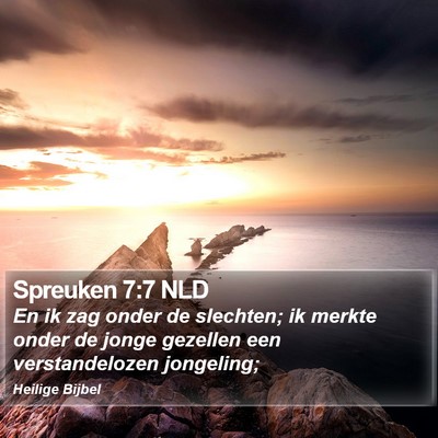 Spreuken 7:7 NLD Bible Verse Image