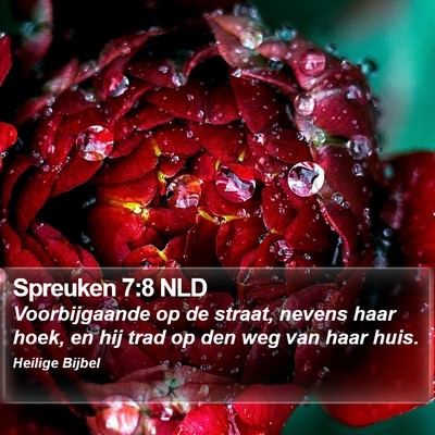 Spreuken 7:8 NLD Bible Verse Image