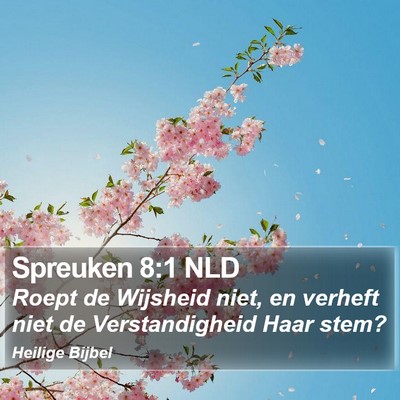 Spreuken 8:1 NLD Bible Verse Image