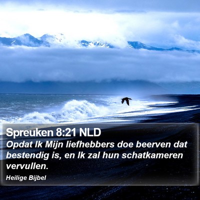 Spreuken 8:21 NLD Bible Verse Image