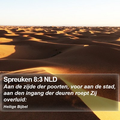 Spreuken 8:3 NLD Bible Verse Image