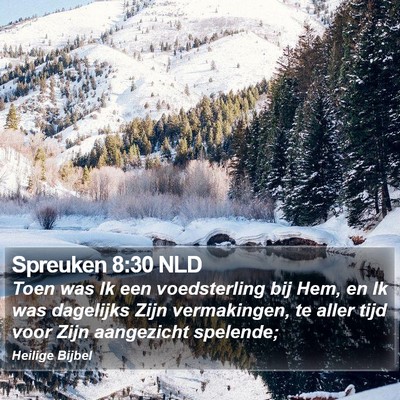 Spreuken 8:30 NLD Bible Verse Image