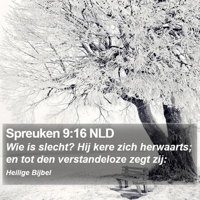 Spreuken 9:16 NLD Bible Verse Image