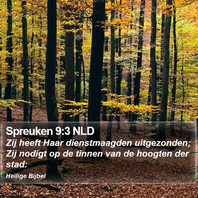 Spreuken 9:3 NLD Bible Verse Image