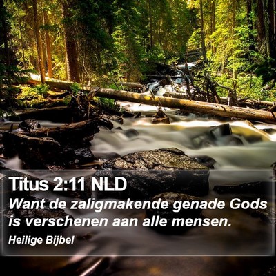 Titus 2:11 NLD Bible Verse Image
