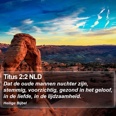 Titus 2:2 NLD Bible Verse Image