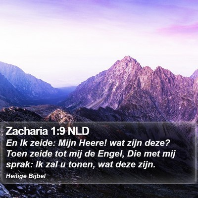 Zacharia 1:9 NLD Bible Verse Image