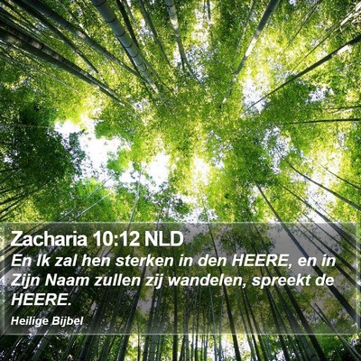 Zacharia 10:12 NLD Bible Verse Image