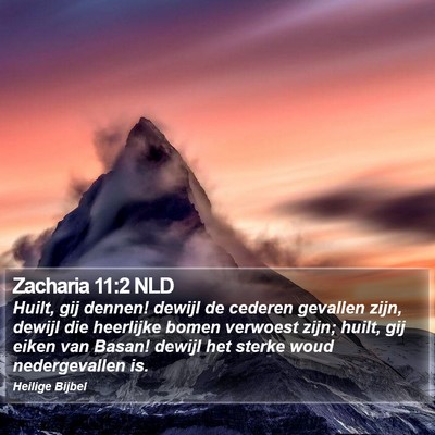 Zacharia 11:2 NLD Bible Verse Image