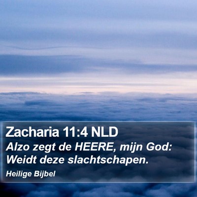 Zacharia 11:4 NLD Bible Verse Image