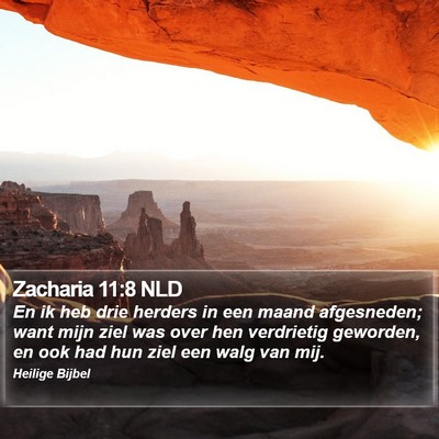 Zacharia 11:8 NLD Bible Verse Image