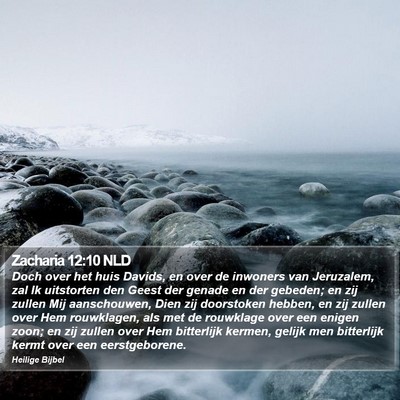 Zacharia 12:10 NLD Bible Verse Image