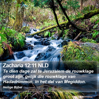Zacharia 12:11 NLD Bible Verse Image