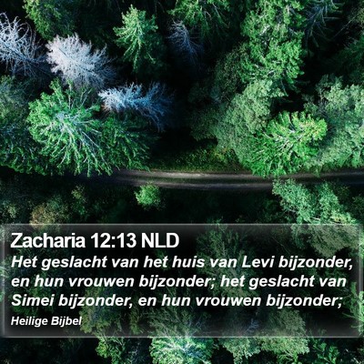 Zacharia 12:13 NLD Bible Verse Image