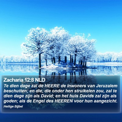 Zacharia 12:8 NLD Bible Verse Image