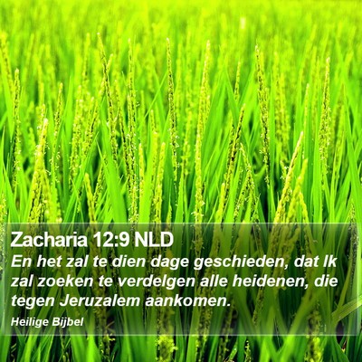 Zacharia 12:9 NLD Bible Verse Image