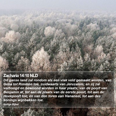 Zacharia 14:10 NLD Bible Verse Image