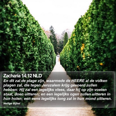 Zacharia 14:12 NLD Bible Verse Image