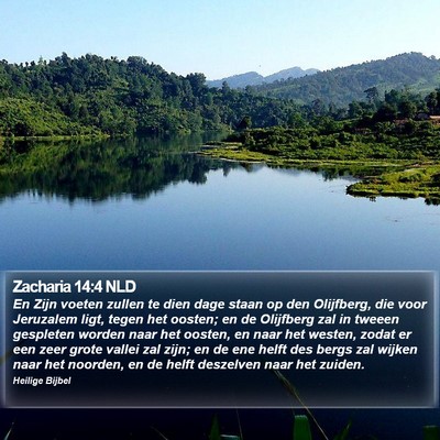 Zacharia 14:4 NLD Bible Verse Image