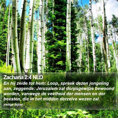 Zacharia 2:4 NLD Bible Verse Image