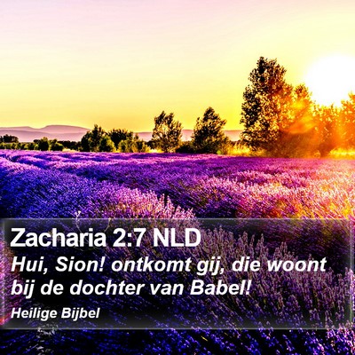 Zacharia 2:7 NLD Bible Verse Image