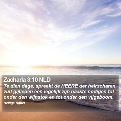 Zacharia 3:10 NLD Bible Verse Image