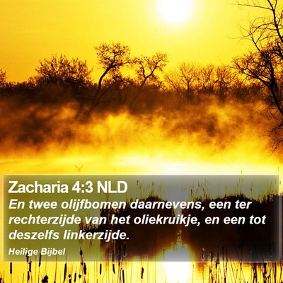 Zacharia 4:3 NLD Bible Verse Image