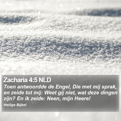 Zacharia 4:5 NLD Bible Verse Image