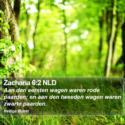 Zacharia 6:2 NLD Bible Verse Image